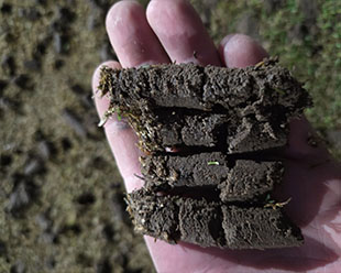 Aeration