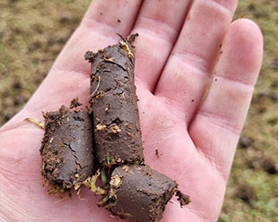 Aeration