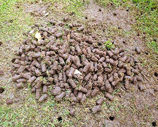 Aeration