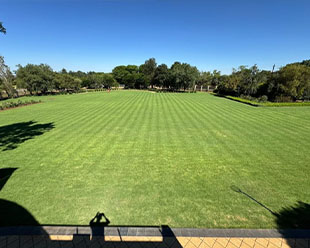 Lawn