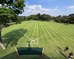 Lawn