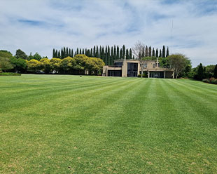 Lawn