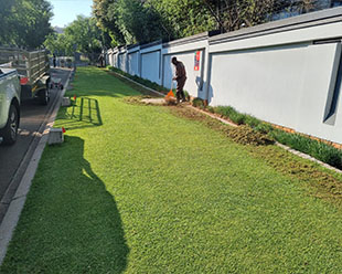 Lawn